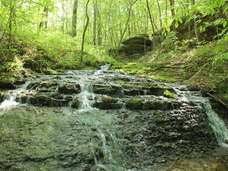 Home Hunting Recreational Land Pool : Hohenwald : Lewis County : Tennessee