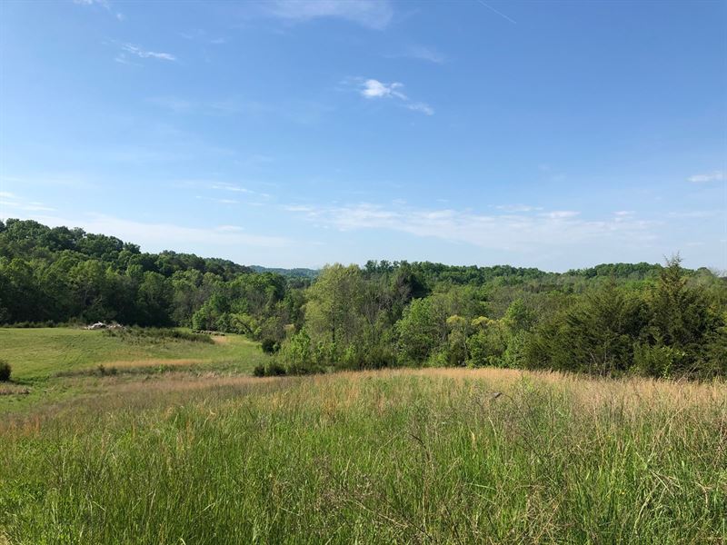 East Tennessee Unrestricted Land Land for Sale in Mosheim, Greene