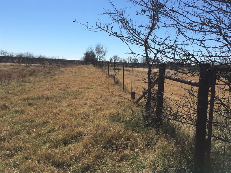 Ranch with Water, Pasture, Fields : Perrin : Jack County : Texas