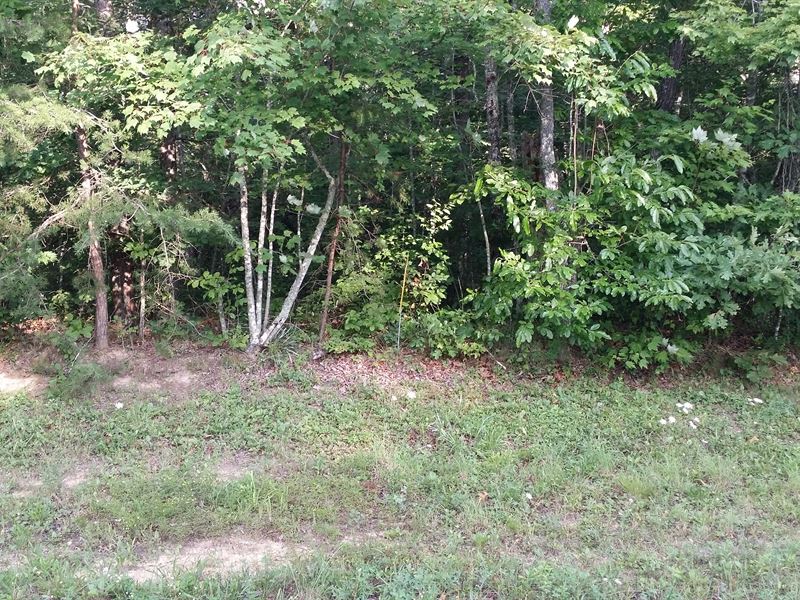 1+ Ac in Cumberland Cove, Monterey : Monterey : Putnam County : Tennessee