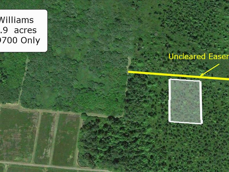 1.9 Acre Double Almost Cleared Lot : Ilwaco : Pacific County : Washington