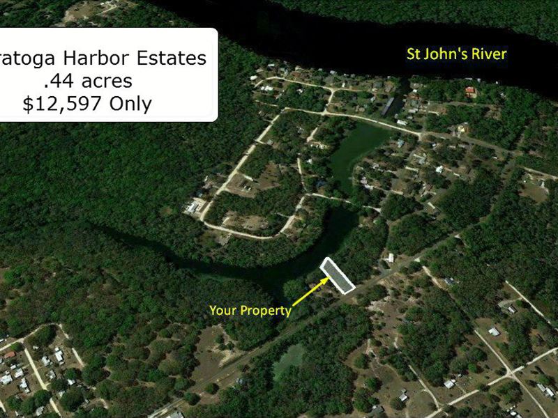 .44 Acre Waterfront Lot : San Mateo : Putnam County : Florida