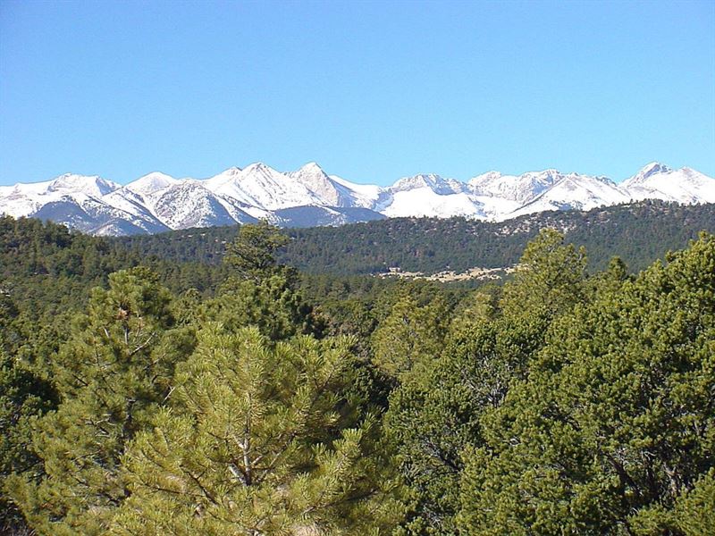5 Milligan Ranch : Gardner : Huerfano County : Colorado