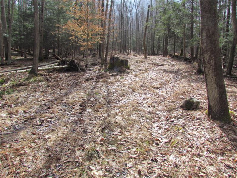 83 +/ Acres, Mostly Wooded Land for Sale in Shickshinny, Luzerne
