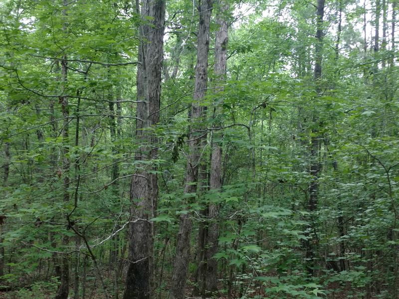 Hunter's Retreat : Norwood : Warren County : Georgia