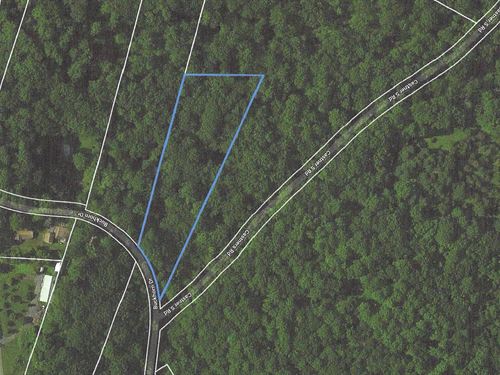 2.94+/- Acre Wooded Lot : Belvidere : Warren County : New Jersey