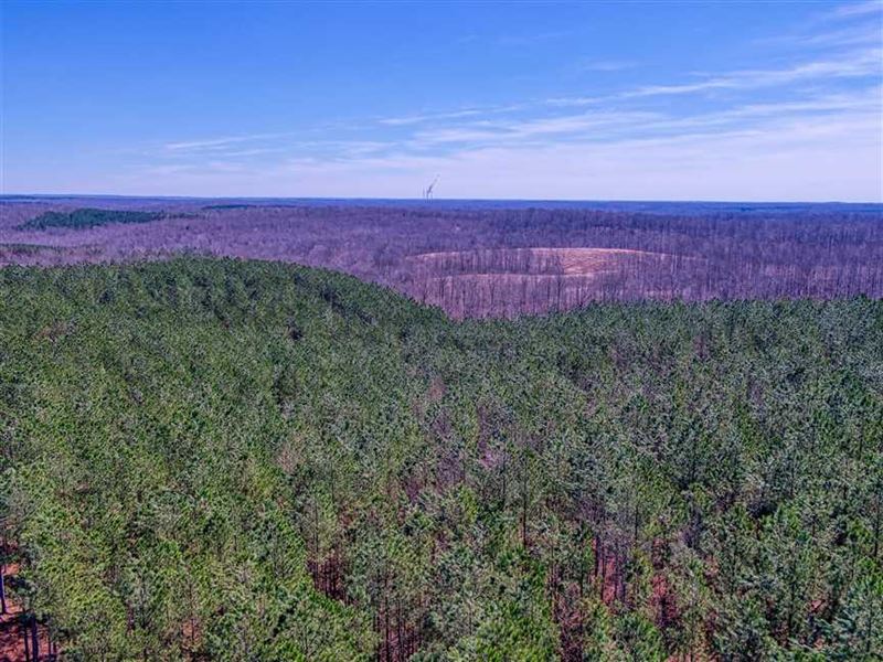 280 Acres for Sale in Dover, Stewa : Dover : Stewart County : Tennessee