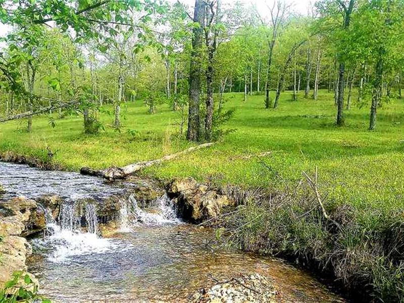 Recreation And Home Building Prope Land for Sale in Reeds Spring
