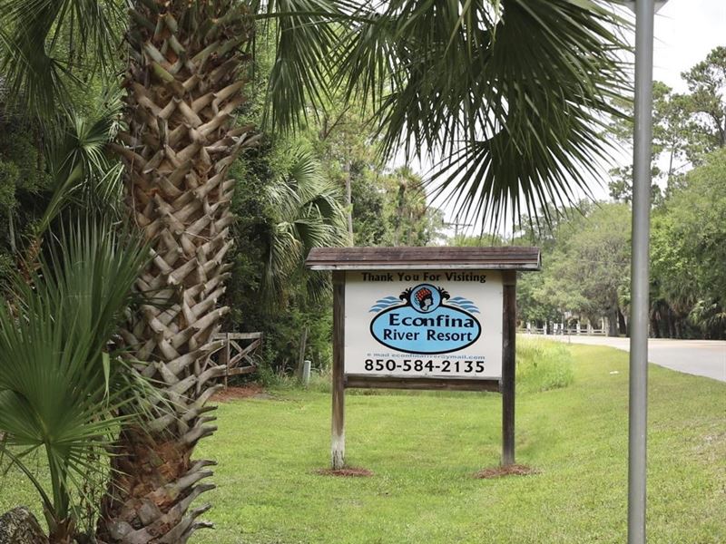 Ecofina River Resort : Lamont : Taylor County : Florida