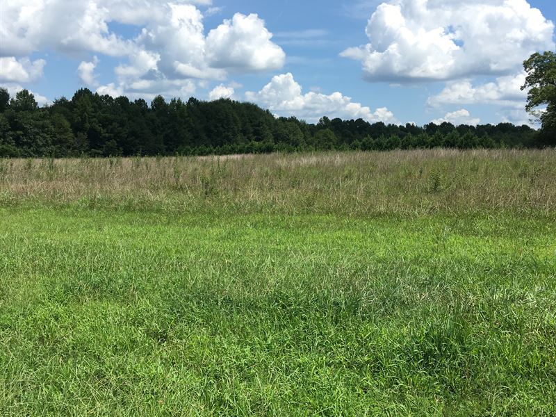 Shannon's Place : Comer : Madison County : Georgia