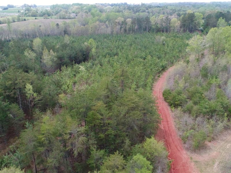 Rare Large Tract On Highway 11 : Chesnee : Spartanburg County : South Carolina