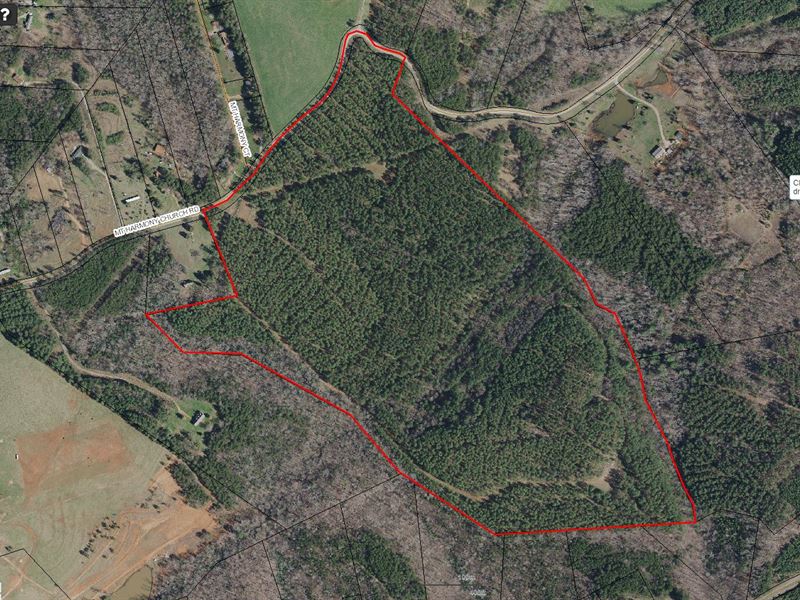 Beautiful Rural Tree Farm : Shelby : Cleveland County : North Carolina