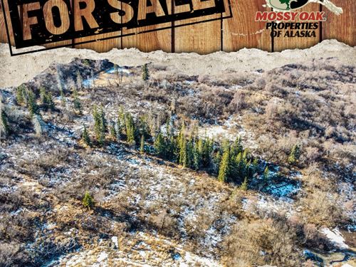 3.42 Acres of Privacy in Nikiski : Nikiski : Kenai Peninsula Borough : Alaska