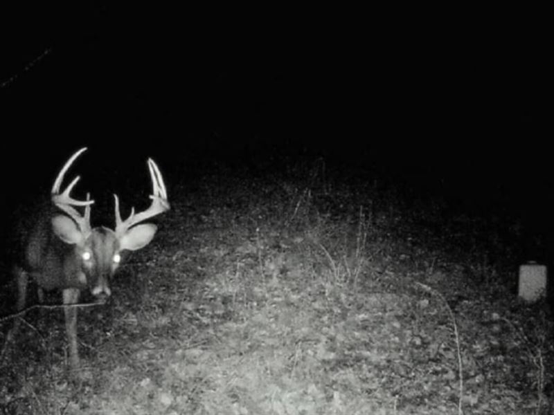 Janesville Rd. 120 : Terry : West Carroll Parish : Louisiana