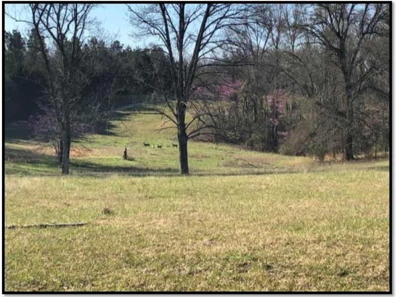 1258 Acres Foxmoor Farm in Lee CO : Guntown : Lee County : Mississippi