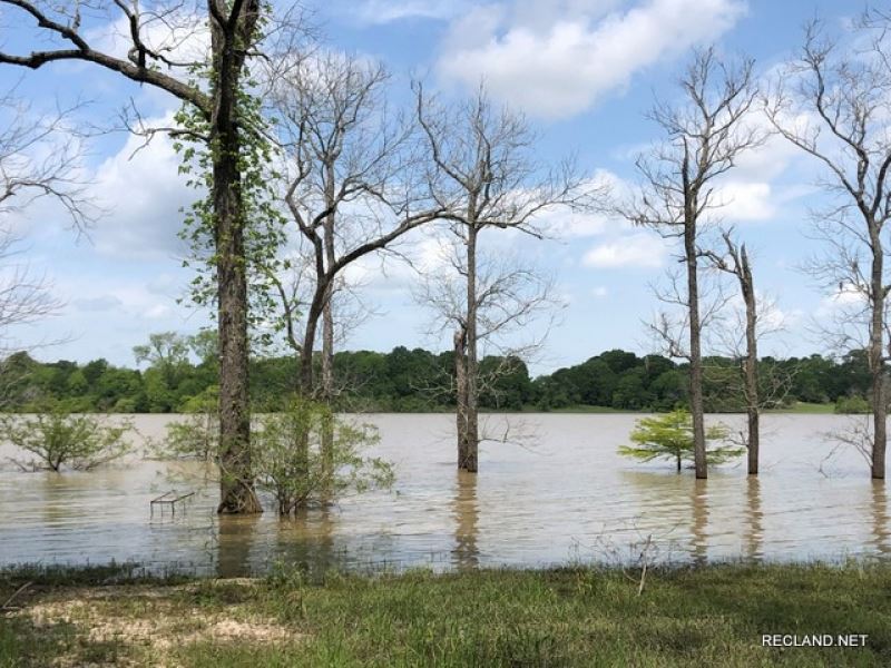 Fishing Camp On Lake Louie, Price : Sicily Island : Catahoula Parish : Louisiana