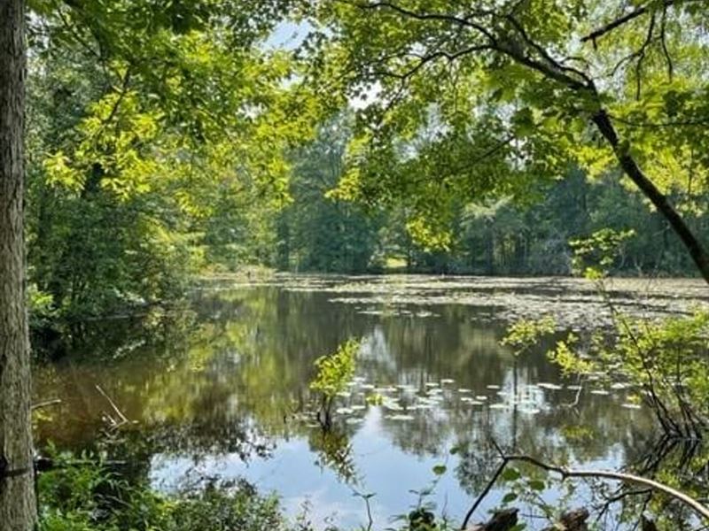 Excellent Country Home Site with Po : Timmonsville : Abbeville County : South Carolina