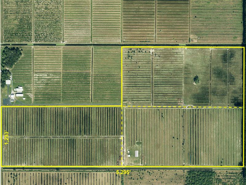 235Ac Pasture, Barn & Cattle Pens : Fort Pierce : Saint Lucie County : Florida