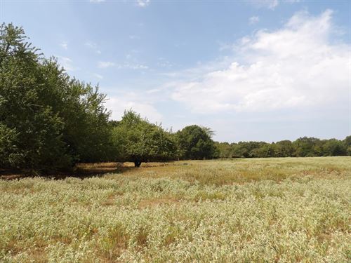 Ranch And Recreational 520 Acres Bo : Boswell : Choctaw County : Oklahoma