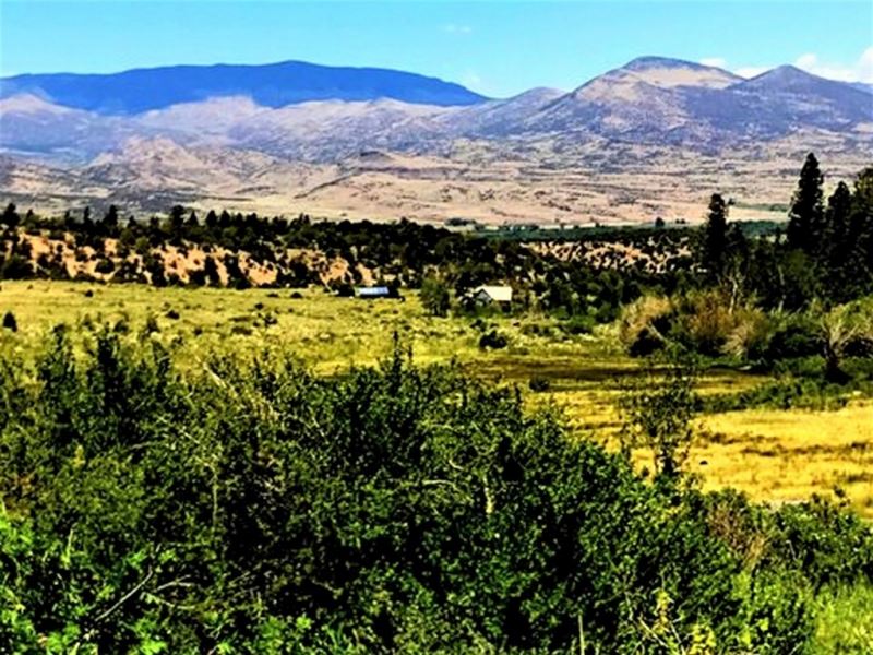 Rose Hips Ranch : South Fork : Rio Grande County : Colorado