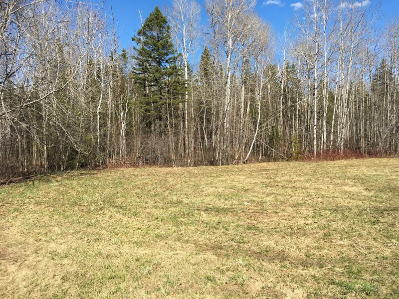 Land in Presque Isle, Maine Land for Sale in Presque Isle, Aroostook