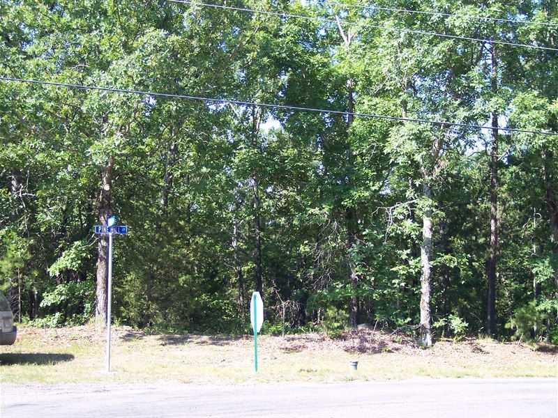 Beautifully Treed, By Golf Course : Horseshoe Bend : Izard County : Arkansas