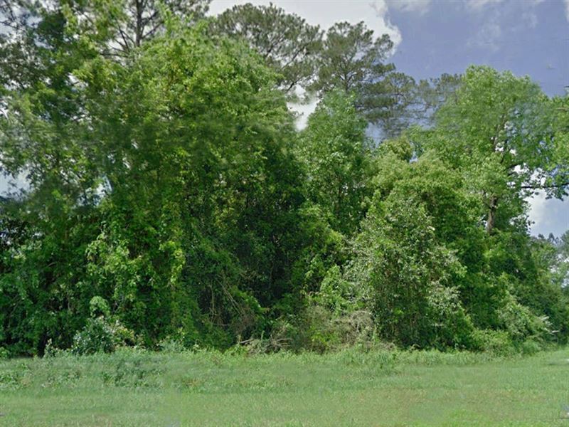 Beautiful Lot in Friendly Community : Chattahoochee : Gadsden County : Florida