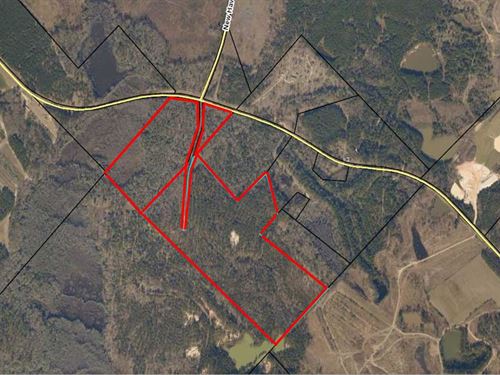 Great Land Tract Available : Gordon : Twiggs County : Georgia