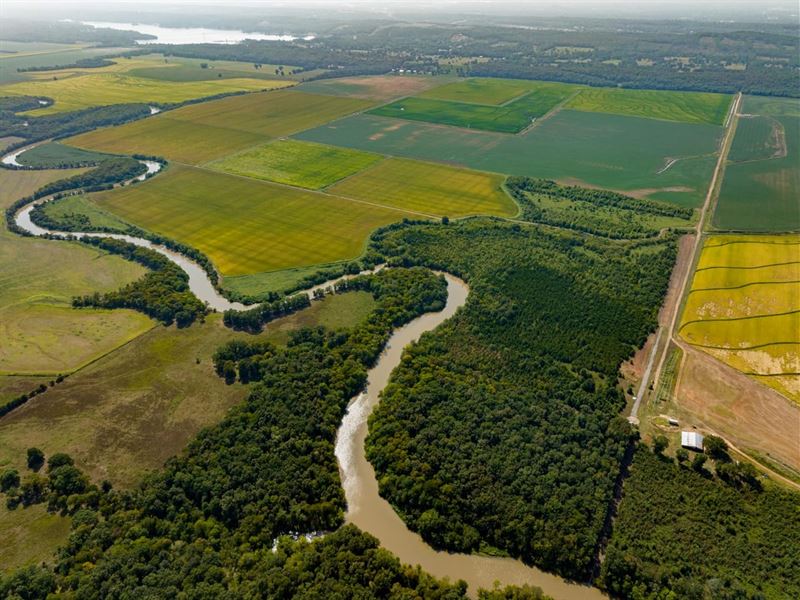 610 Row Crop, Duck Hunting, Pav : Conway : Faulkner County : Arkansas