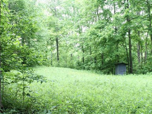 30 Acres Hunting Property, Grayso : Caneyville : Grayson County : Kentucky