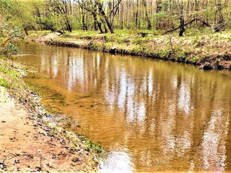 224 Ac Neat Cabin, Beautiful Creek : Ramer : McNairy County : Tennessee