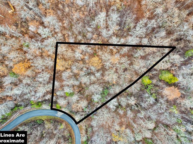 Building Lot in Rock Harbor : New Tazewell : Claiborne County : Tennessee