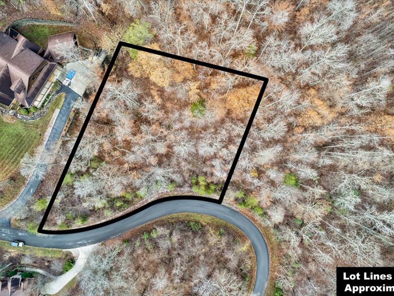 1 Acre Building Lot in Rock Harbor : New Tazewell : Claiborne County : Tennessee