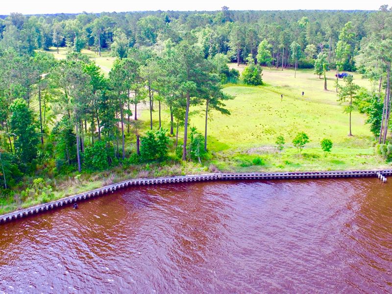 Beaufort County, NC Waterfront Lot : Belhaven : Beaufort County : North Carolina