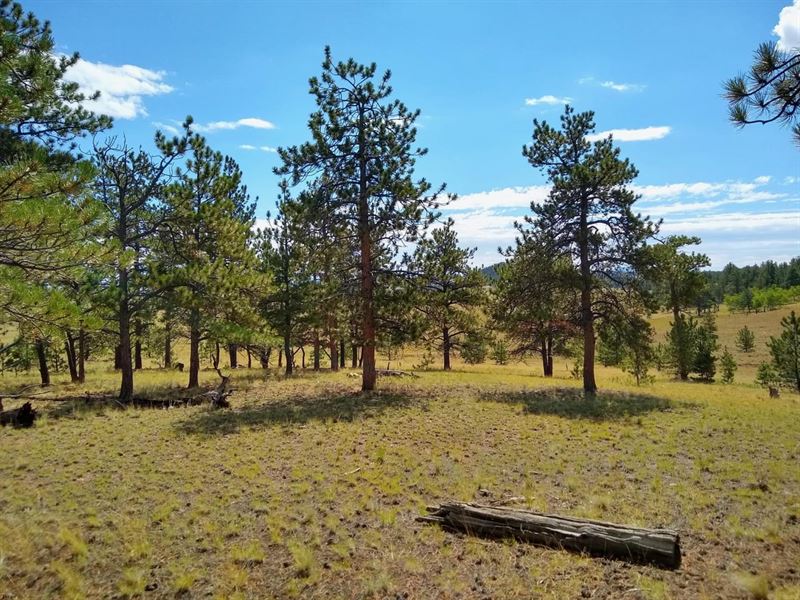 Western Union Ranch : Hartsel : Park County : Colorado