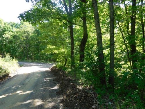 Land For Sale, Delray, WV : Delray : Hampshire County : West Virginia
