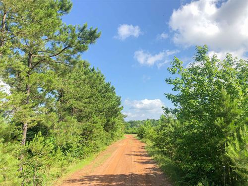 105 Acres Beaver Bend : Gilmer : Upshur County : Texas