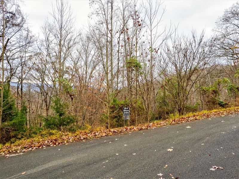 1+ Acre Lot in Rock Harbor : New Tazewell : Claiborne County : Tennessee