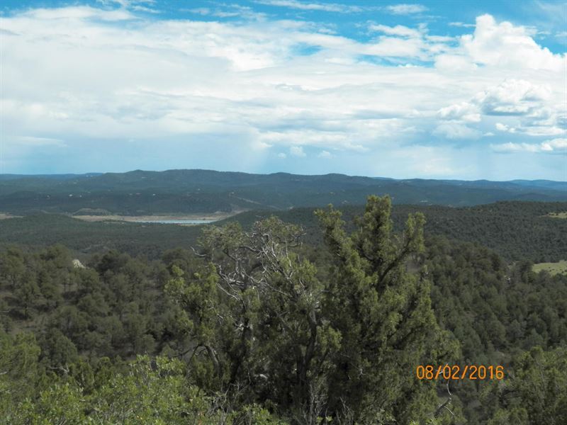 Hunting/Recreational Property : Jansen : Las Animas County : Colorado