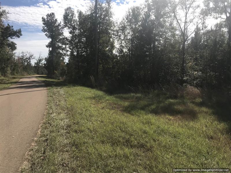 Copiah 3 Acres Land for Sale in Wesson, Copiah County, Mississippi