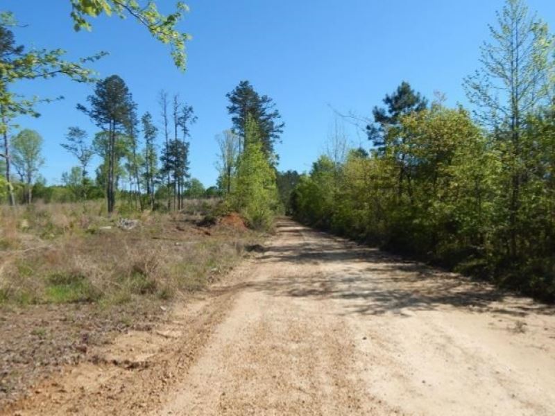 17.8 Acres in Carroll County in Bla : Coila : Carroll County : Mississippi