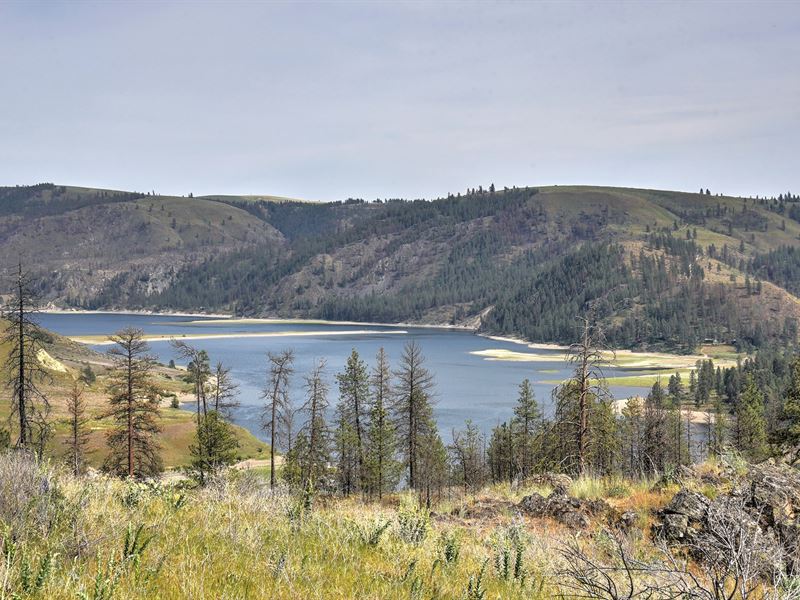 Hunting Property Overlooking Lake : Davenport : Lincoln County : Washington