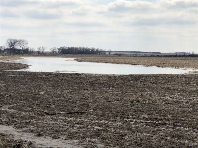 Silver Creek Wildlife Tract 3 : Silver Creek : Merrick County : Nebraska