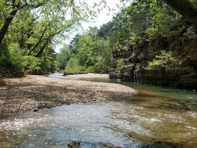 Creek Front Home & Land Carroll Land for Sale in Berryville, Carroll