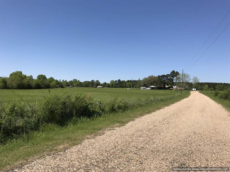 Beautiful Farm Land with 30 Acres : Wesson : Lincoln County : Mississippi
