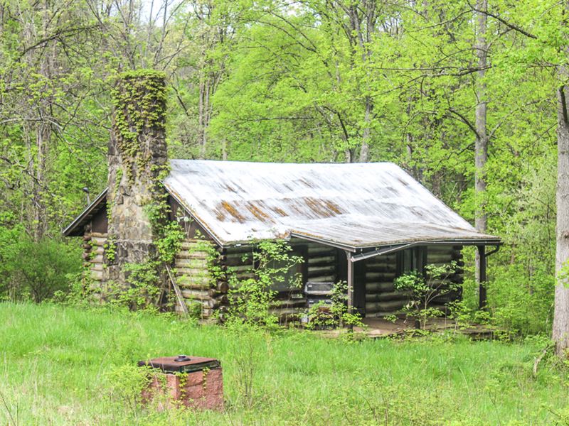 Barr Hollow Rd, 87 Acres : Chester : Meigs County : Ohio