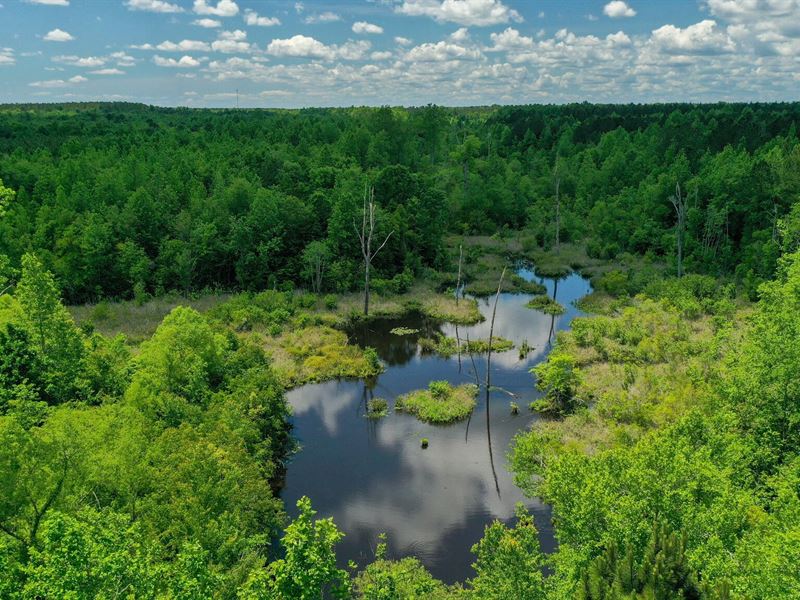 Cabin, Duck Pond, Mature Timber : Sandersville : Washington County : Georgia