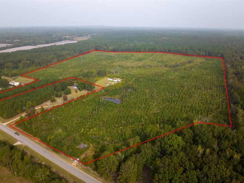 73.33 Acres, Hwy 46, Webster Coun : Mantee : Webster County : Mississippi