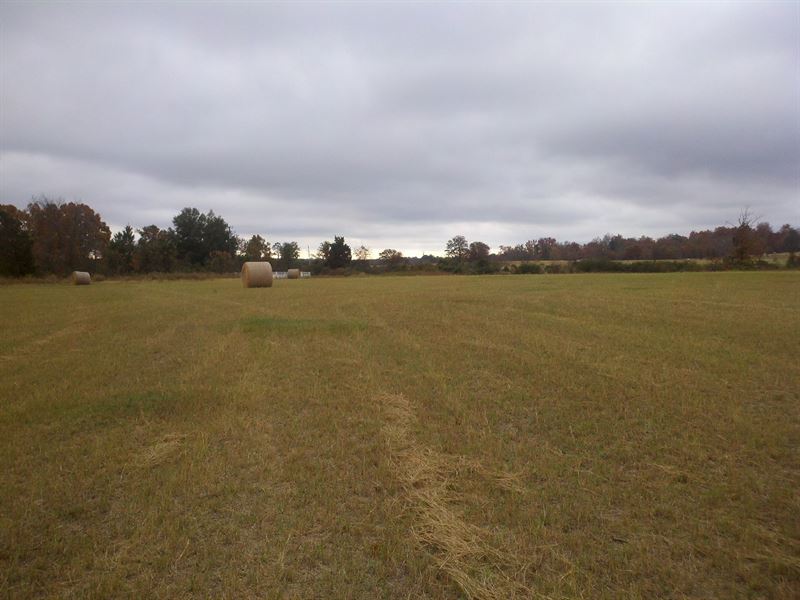 Beautiful Hayfield with Nice Views : Butler : Taylor County : Georgia