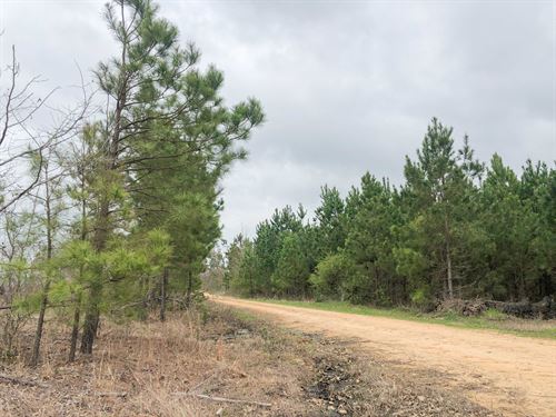 104 Acres Cr 4429 Tract 1001 : Avery : Red River County : Texas